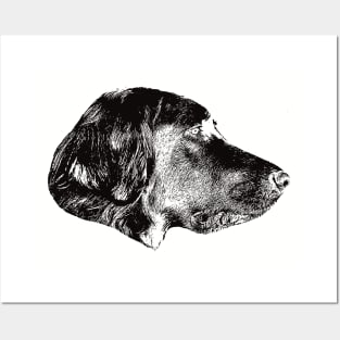 Gordon Setter gift for Gordon Setter Owners Posters and Art